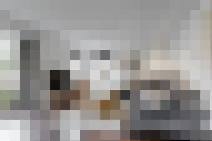 Brakenweide 6 Midwoud thumbnail 4