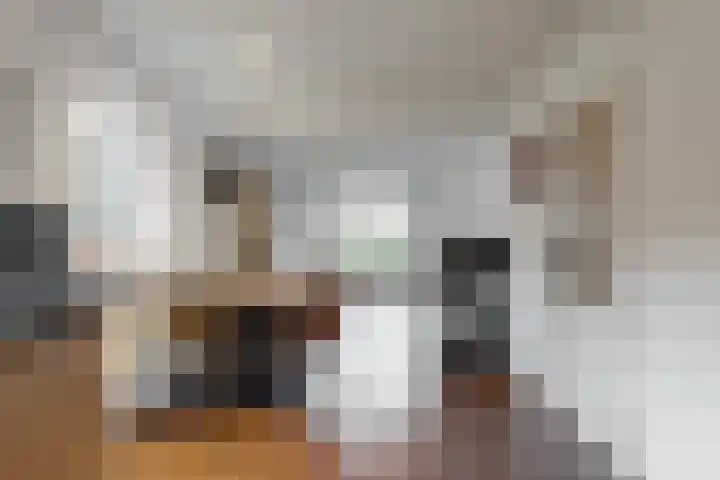 Brakenweide 6 Midwoud thumbnail 5