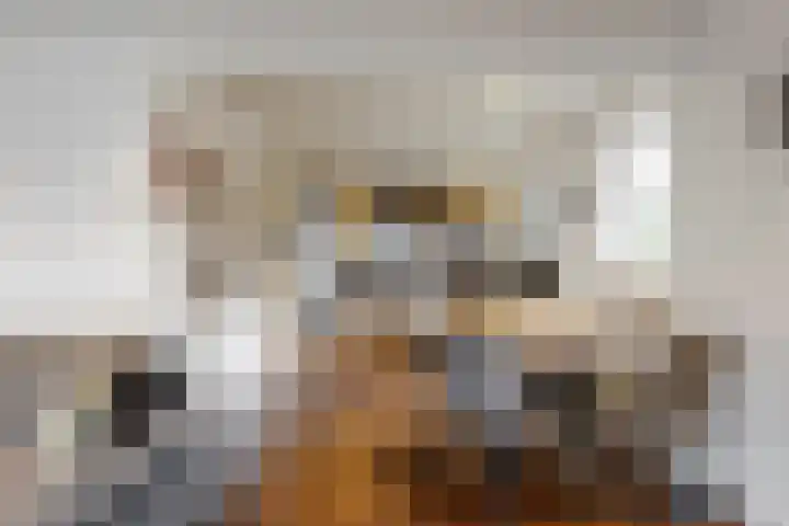 Brakenweide 6 Midwoud thumbnail 6