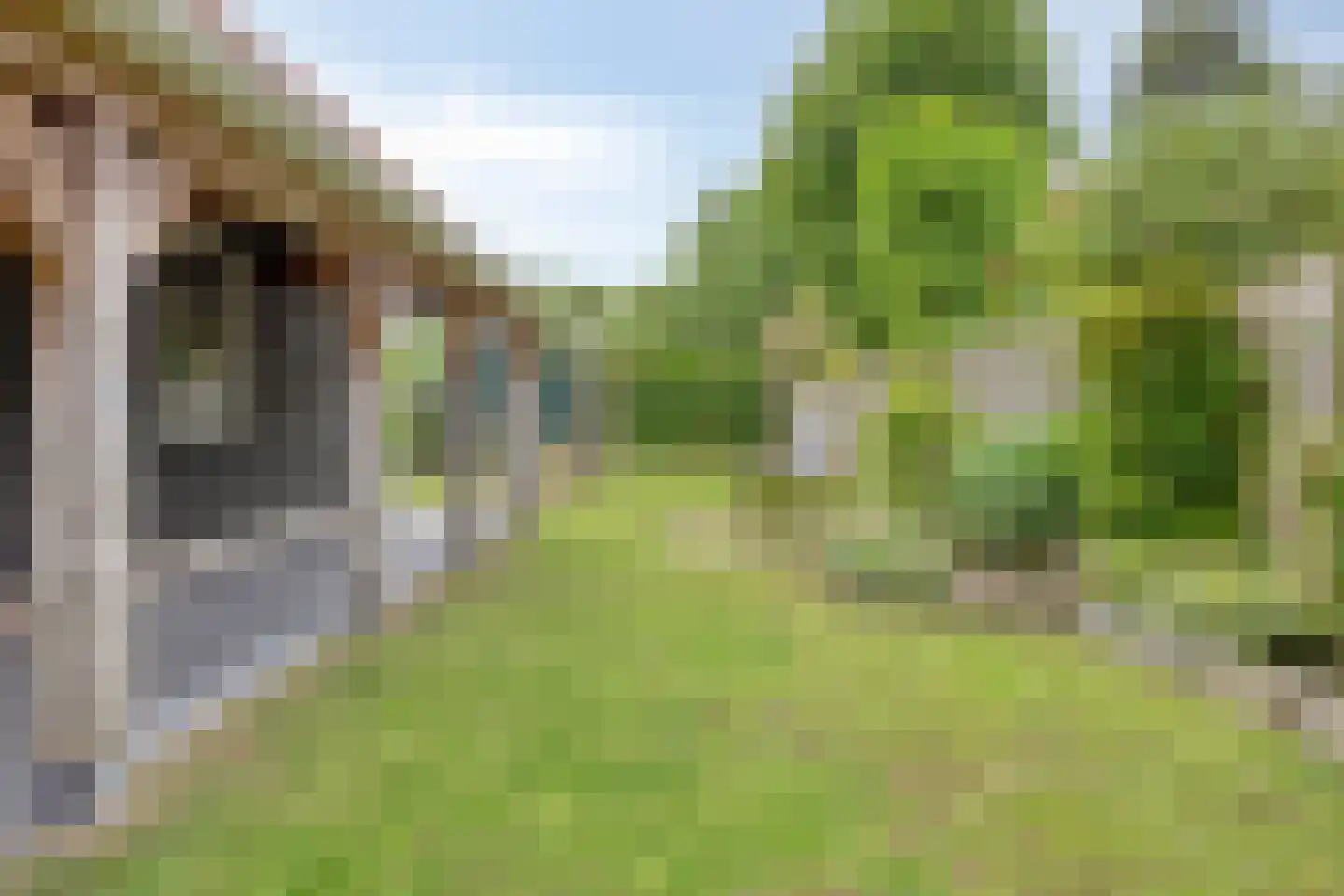 Brakersweg 15 Castricum thumbnail 27