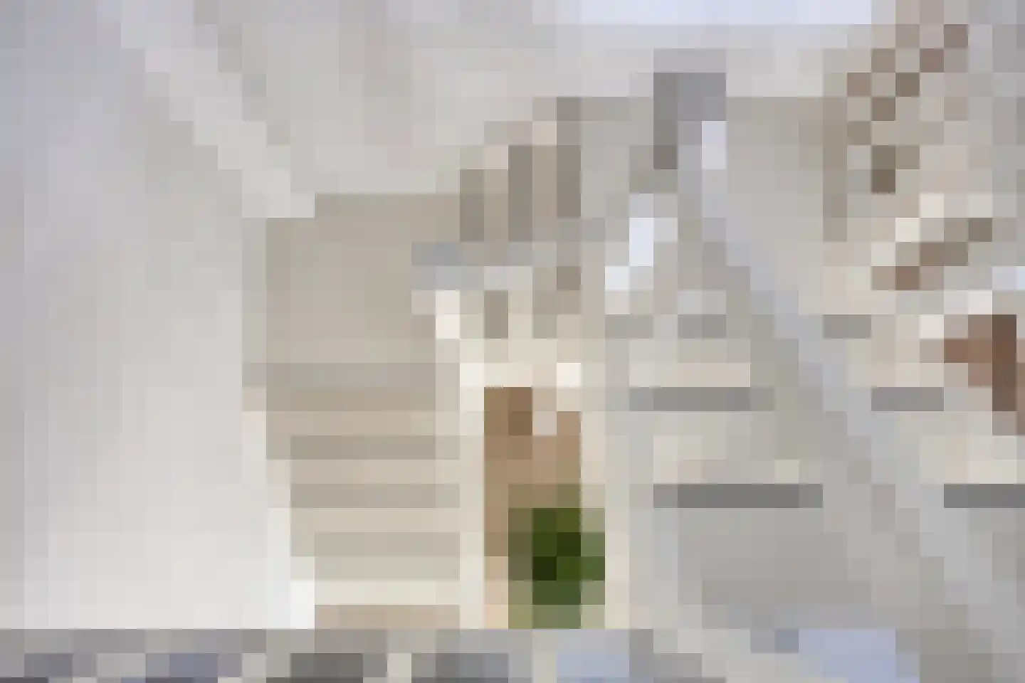 Brakersweg 15 Castricum thumbnail 33
