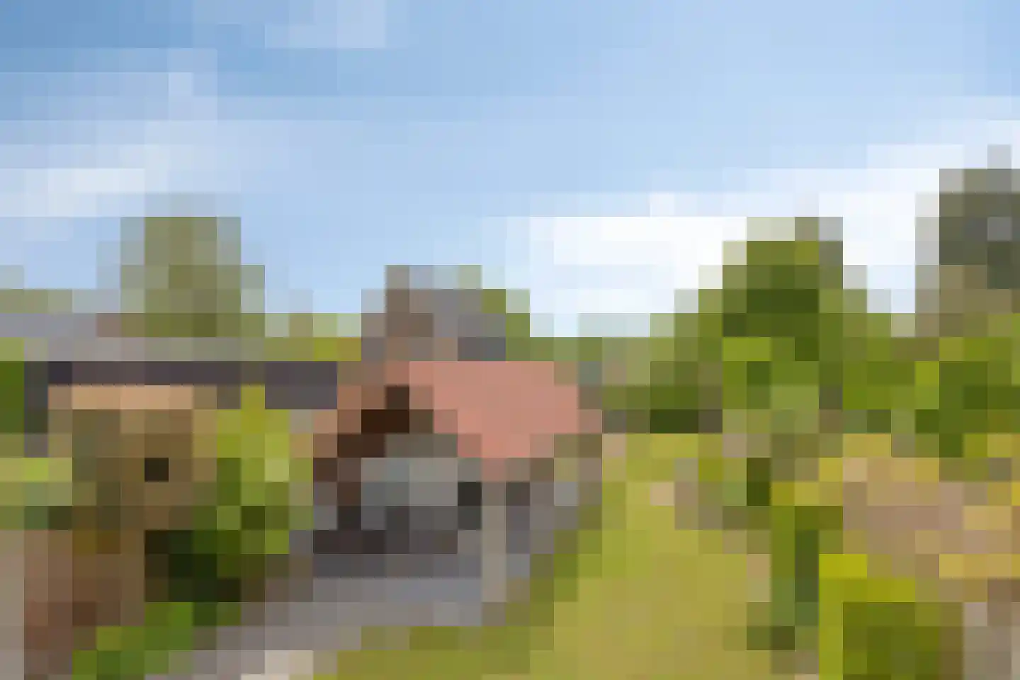 Brakersweg 15 Castricum thumbnail 58