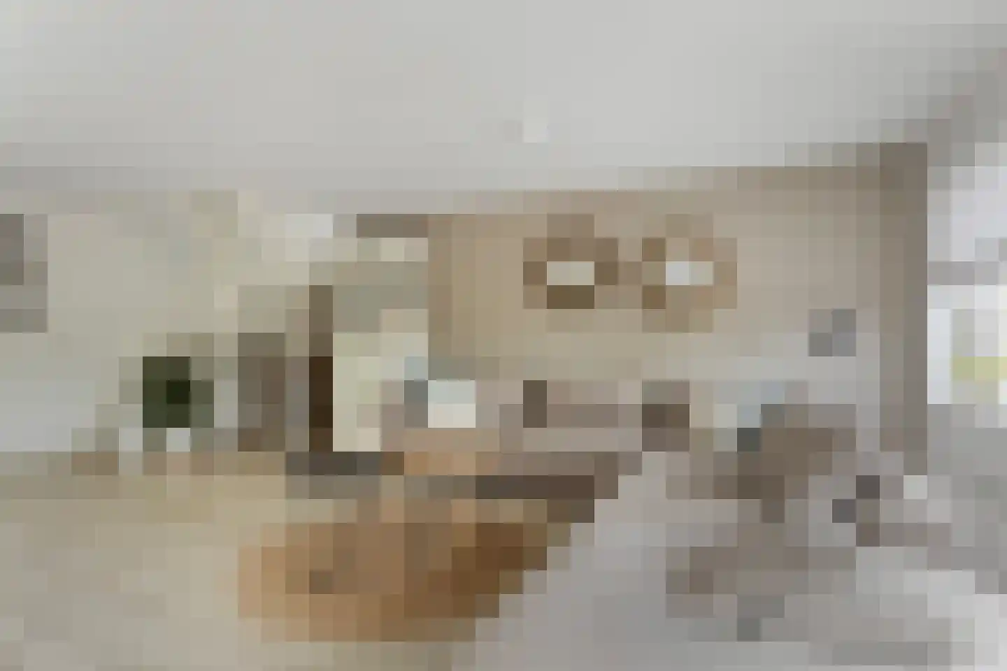 Brakersweg 15 Castricum thumbnail 6