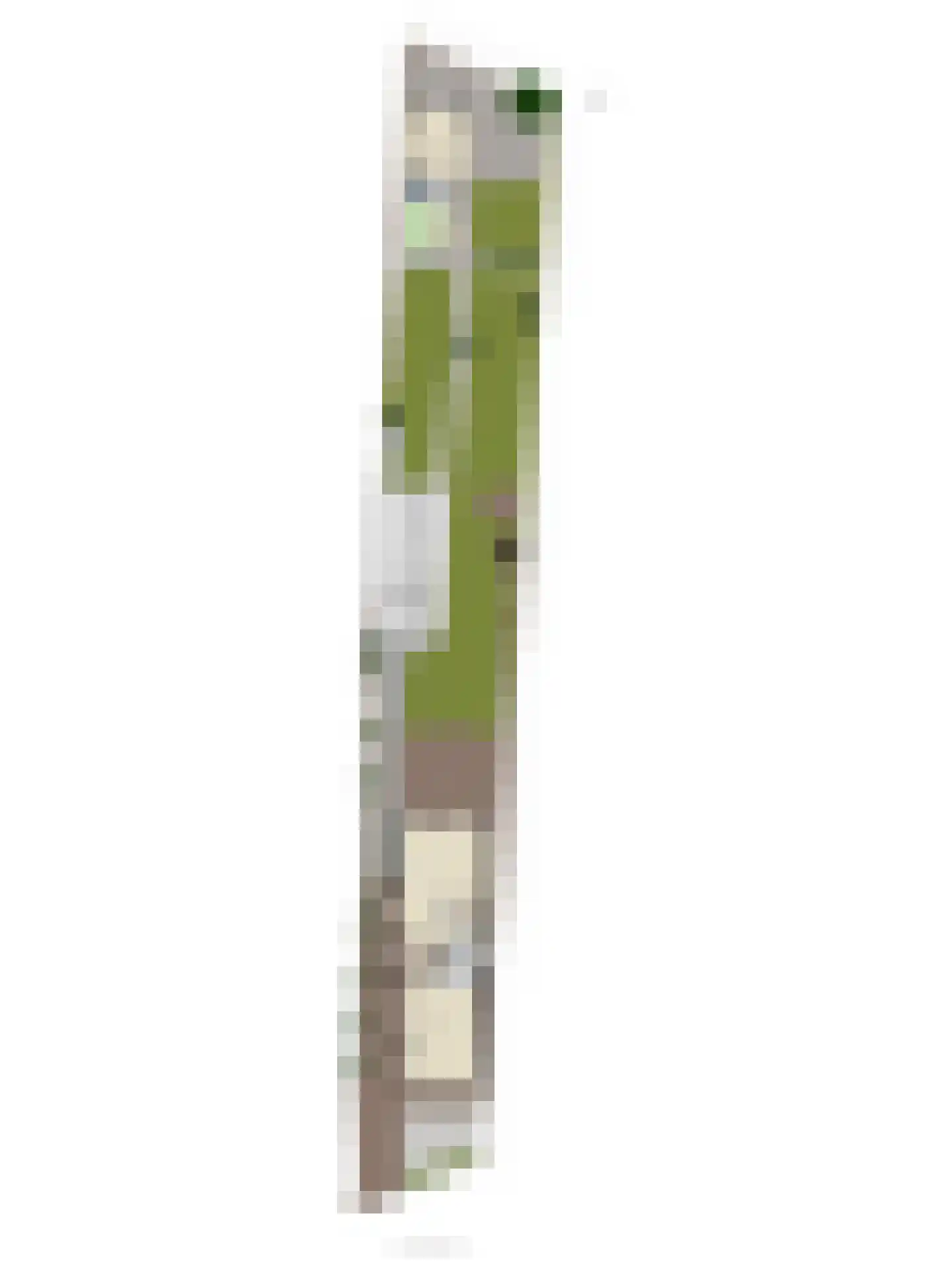 Brakersweg 15 Castricum thumbnail 70