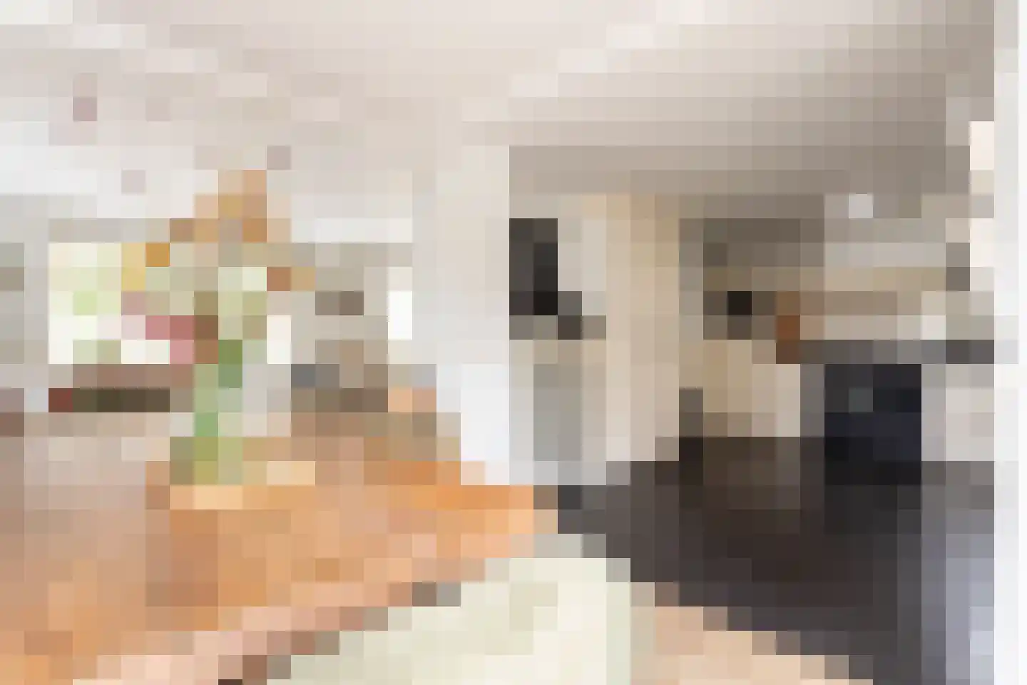 Brakersweg 17 Castricum thumbnail 13