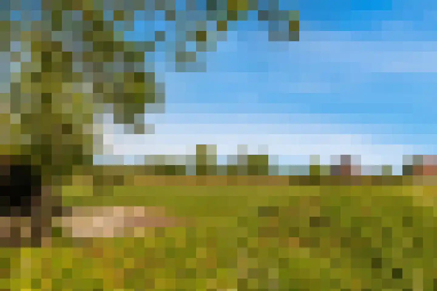 Brakersweg 43 Castricum thumbnail 32