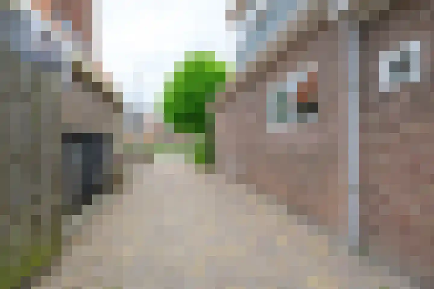 Brakeweg 15 Medemblik thumbnail 25