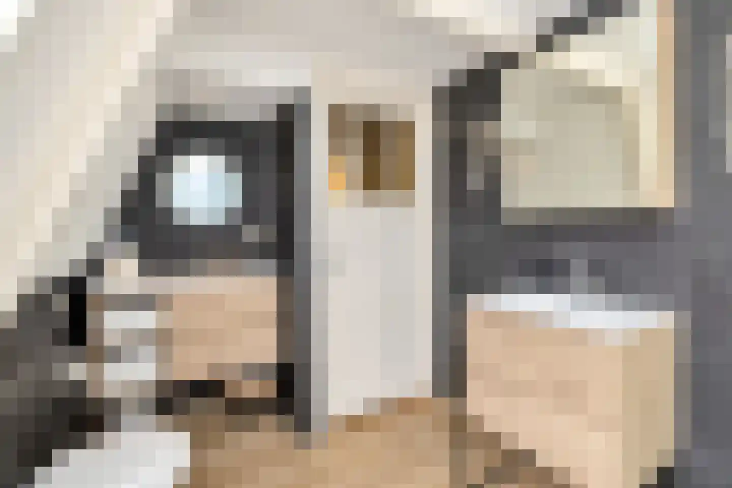 Brakeweg 21 Medemblik thumbnail 32