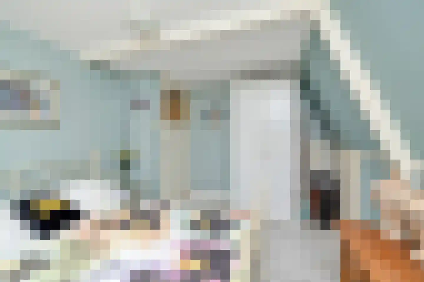 Brakeweg 21 Medemblik thumbnail 35