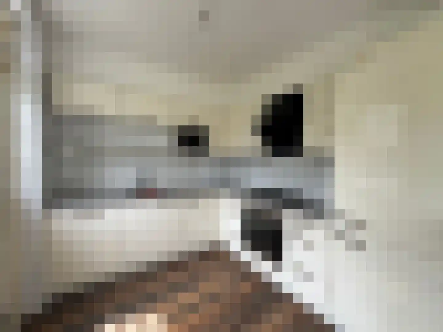 Brakeweg 7 Medemblik thumbnail 13