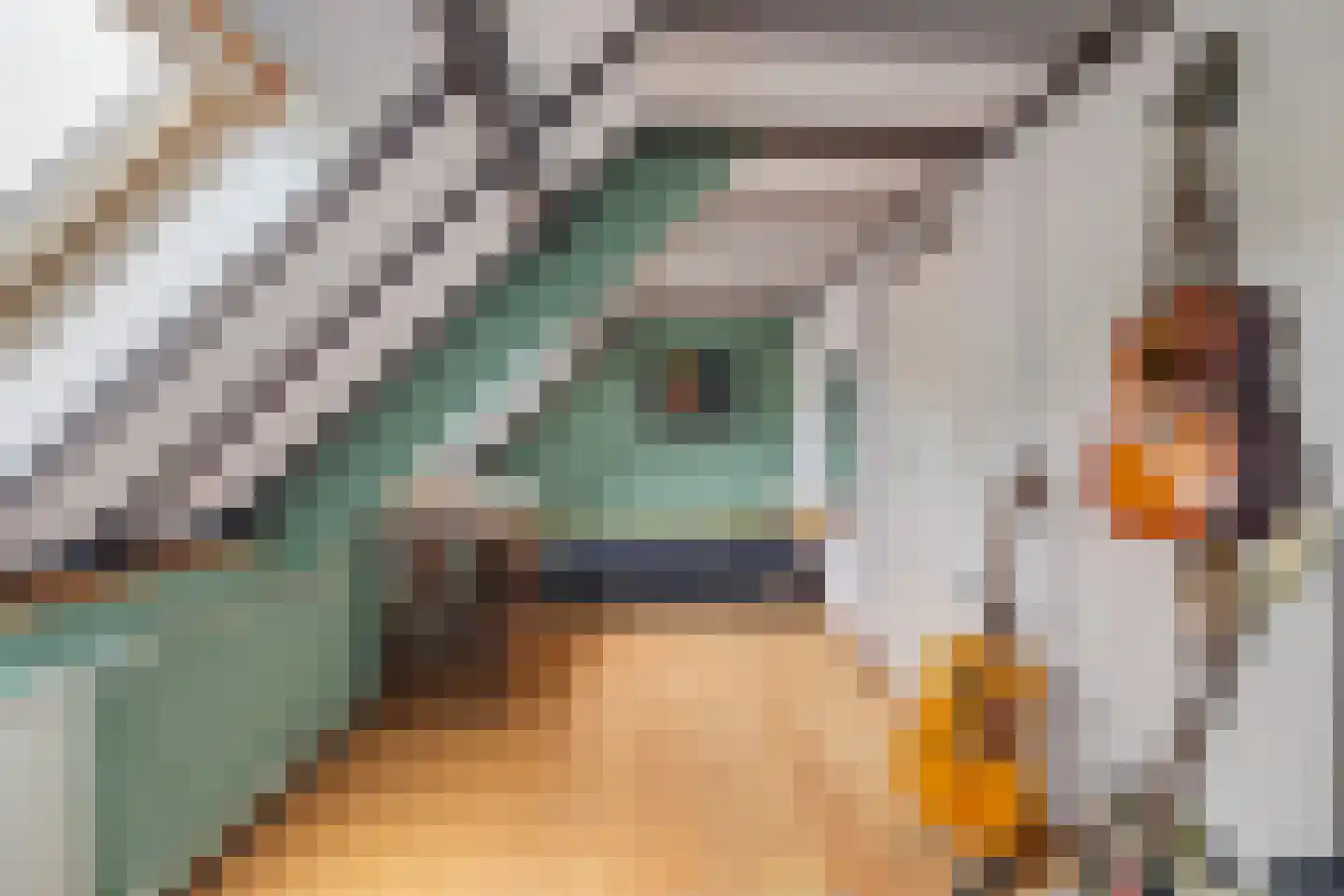 Brakkensedijk 17 Vorstenbosch thumbnail 37