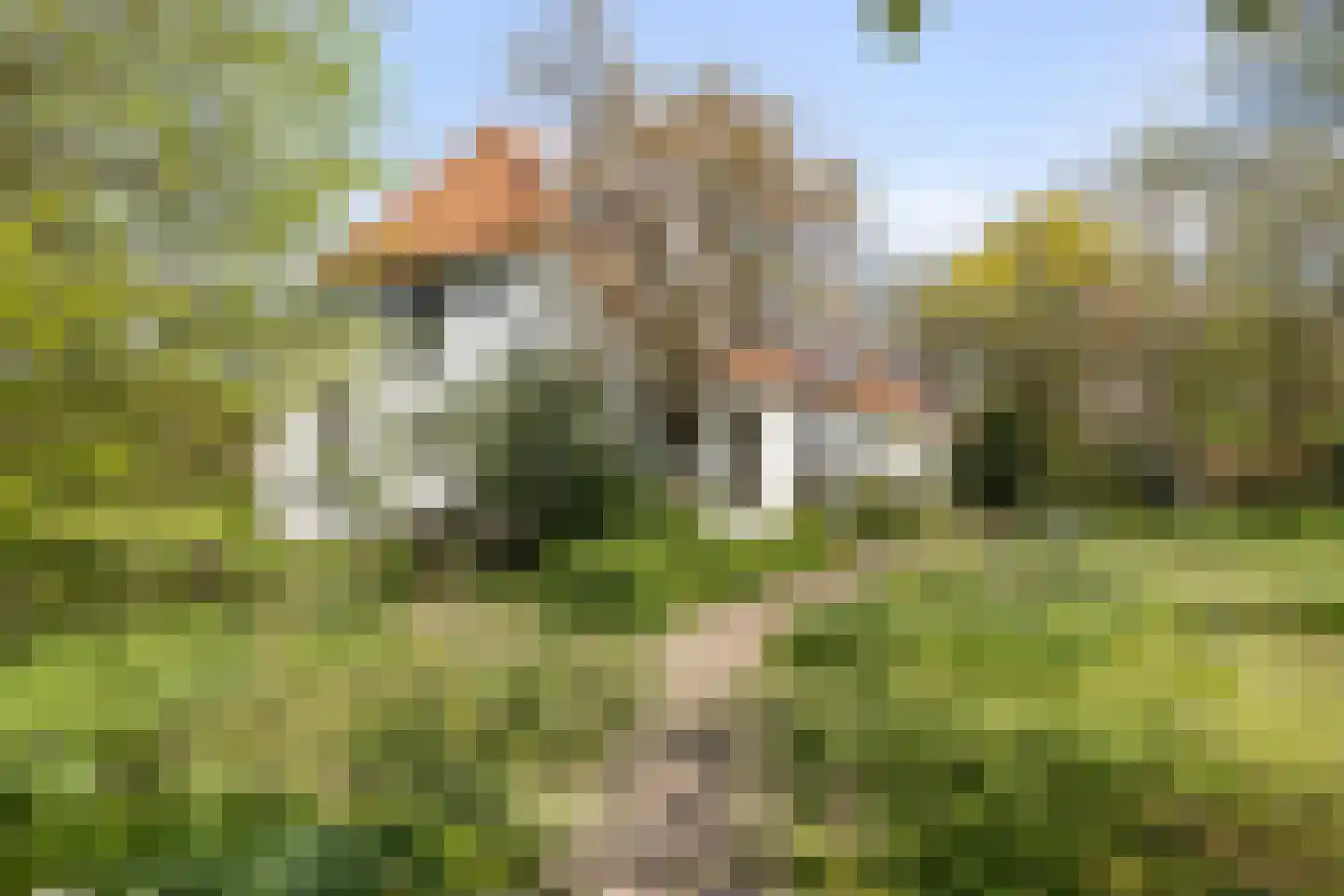 Brakkensedijk 17 Vorstenbosch thumbnail 55