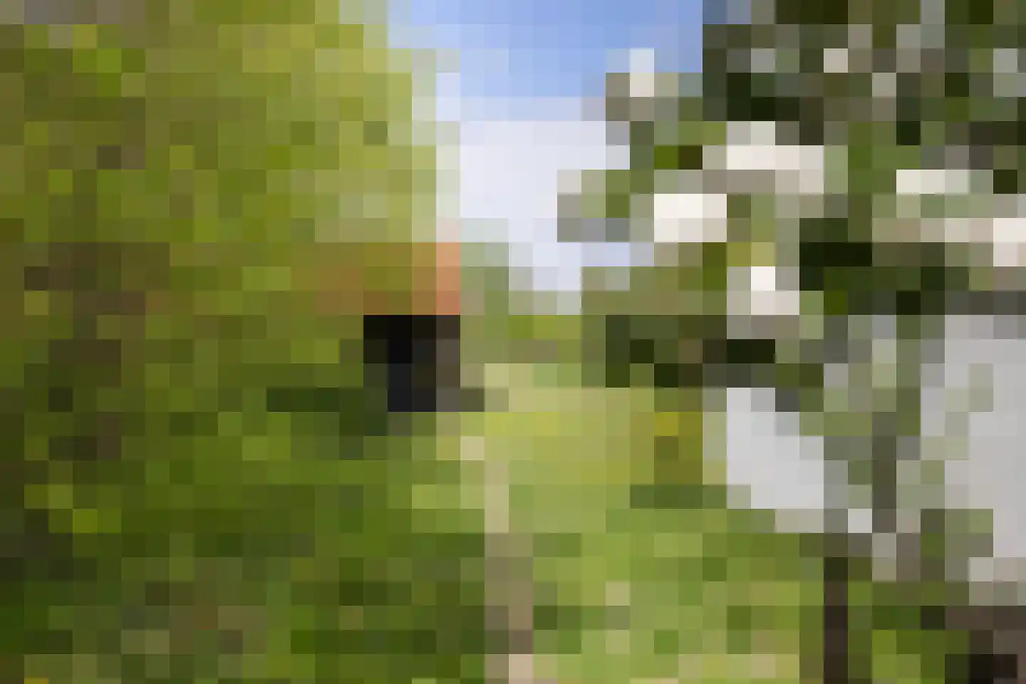 Brakkensedijk 17 Vorstenbosch thumbnail 56