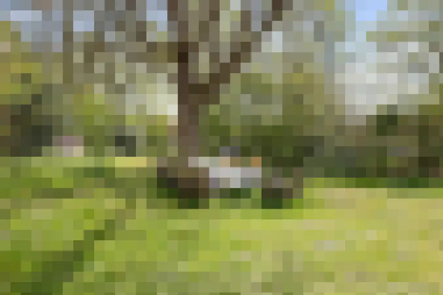 Brakkensedijk 17 Vorstenbosch thumbnail 58
