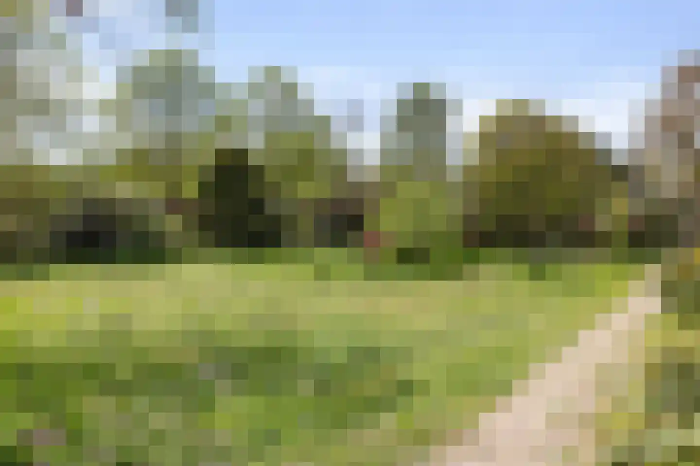 Brakkensedijk 17 Vorstenbosch thumbnail 59