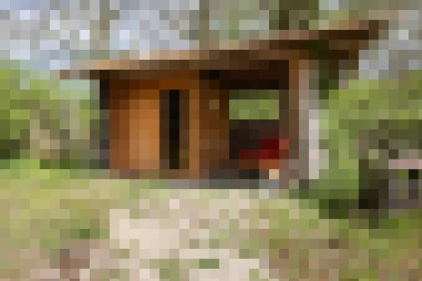 Brakkensedijk 17 Vorstenbosch thumbnail 60