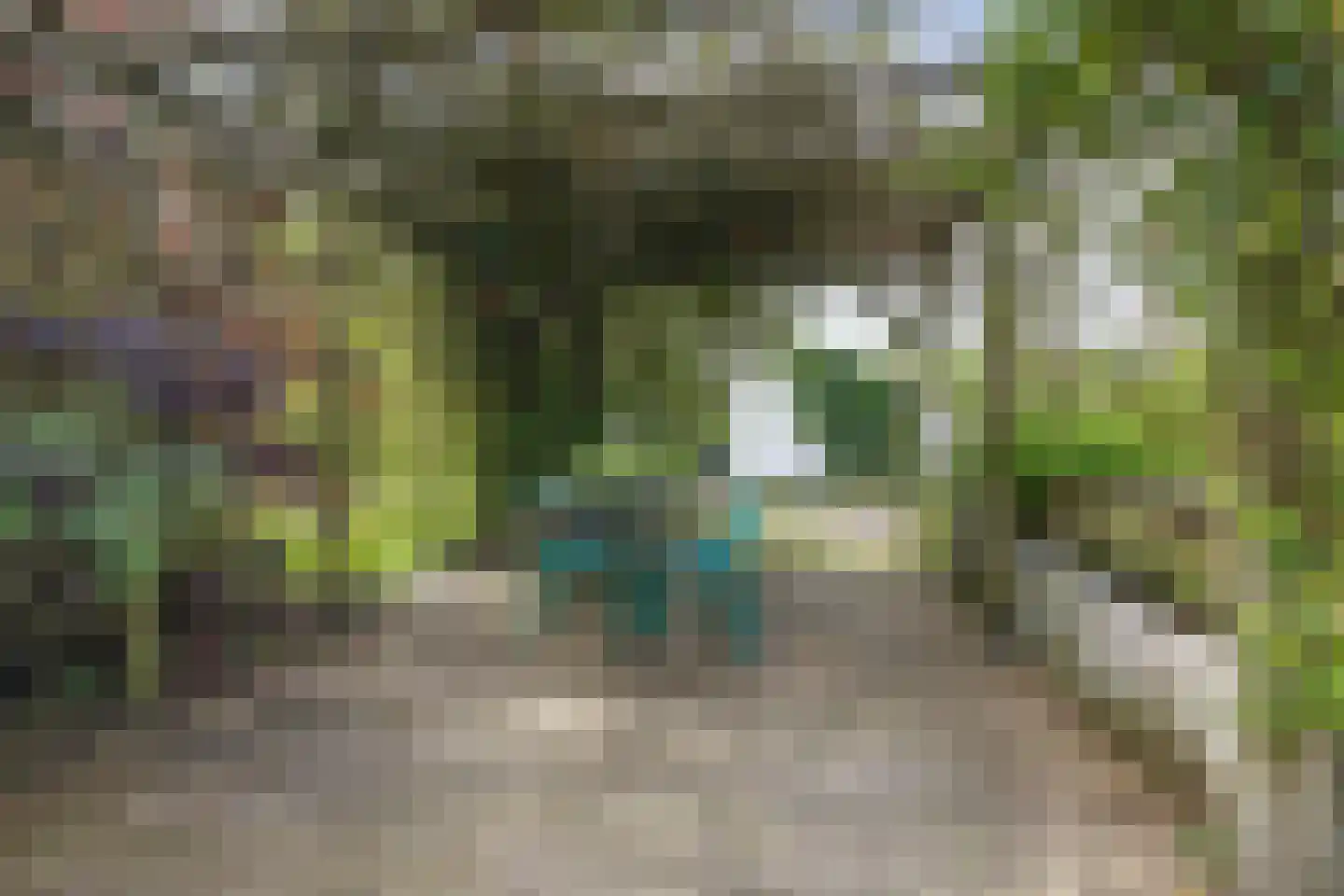 Brakkensedijk 17 Vorstenbosch thumbnail 62
