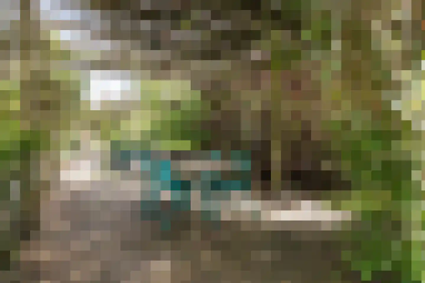 Brakkensedijk 17 Vorstenbosch thumbnail 63