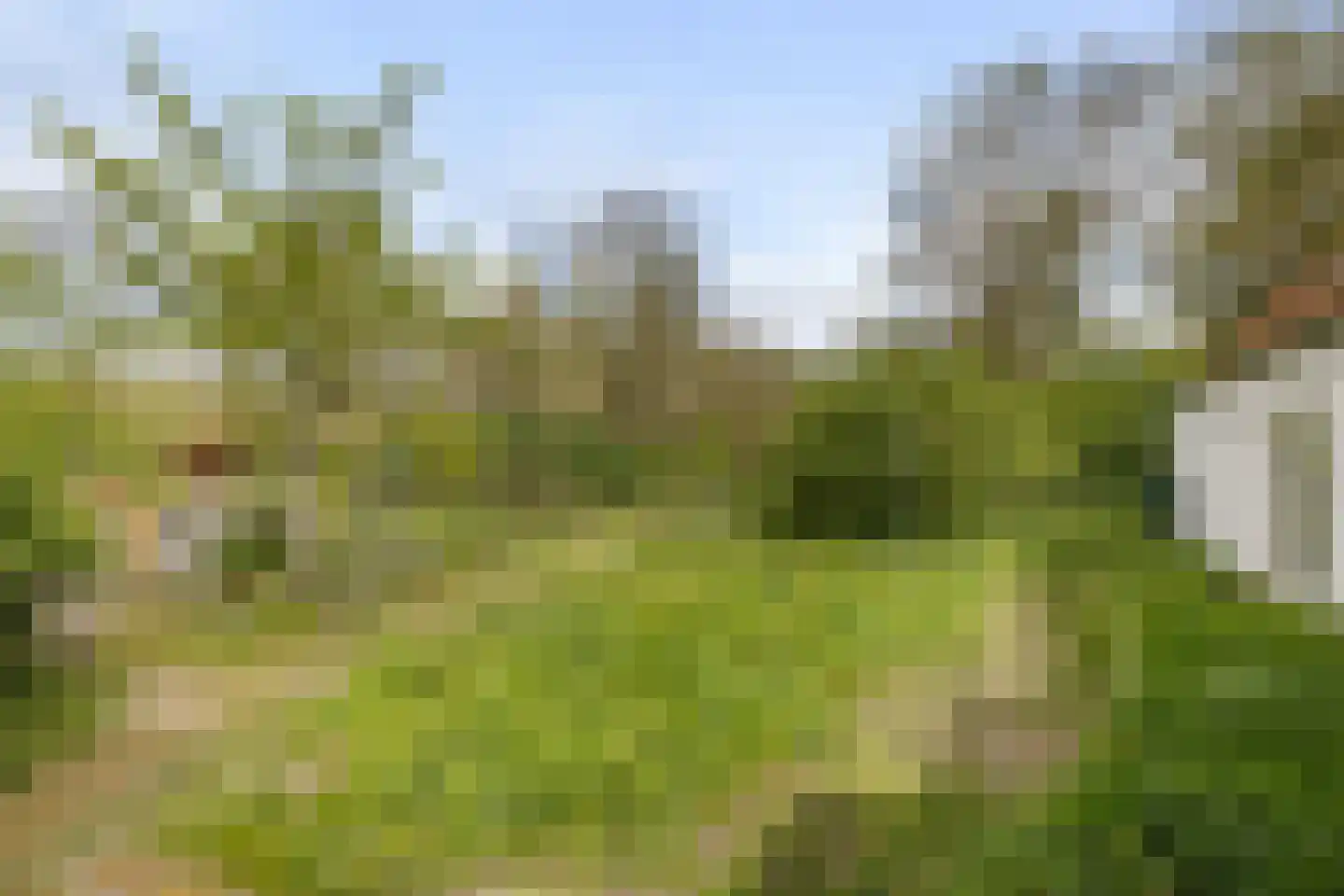 Brakkensedijk 17 Vorstenbosch thumbnail 66
