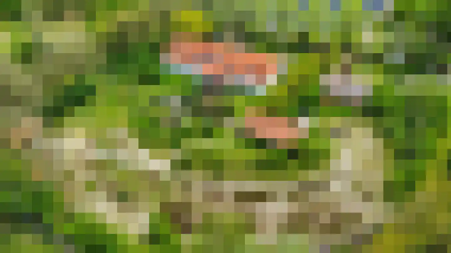 Brakkensedijk 17 Vorstenbosch thumbnail 67