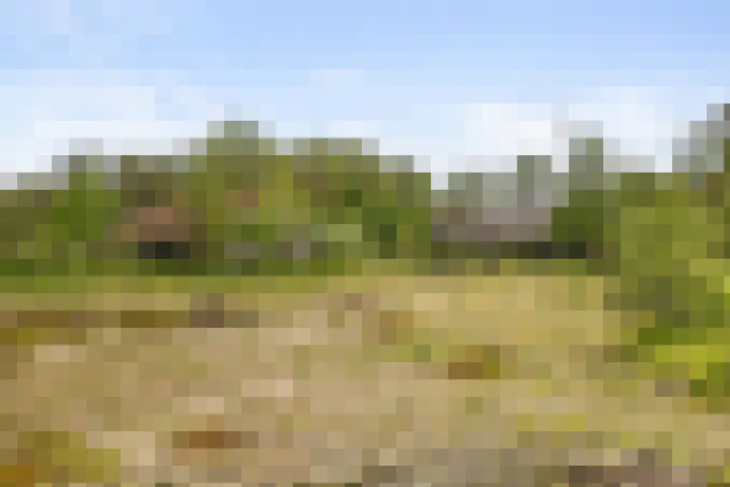 Brakkensedijk 17 Vorstenbosch thumbnail 69