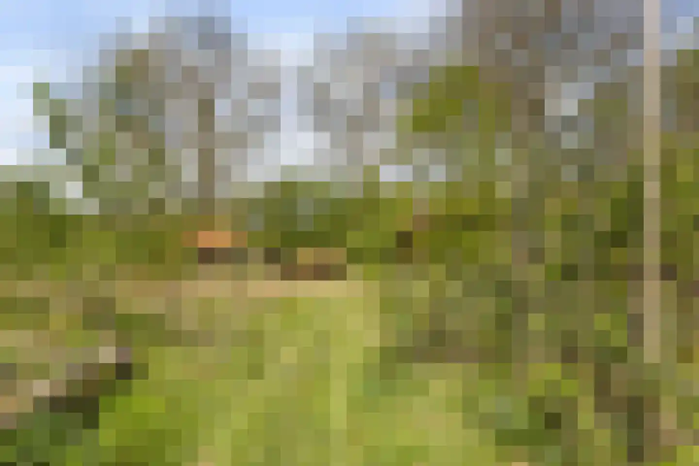 Brakkensedijk 17 Vorstenbosch thumbnail 72
