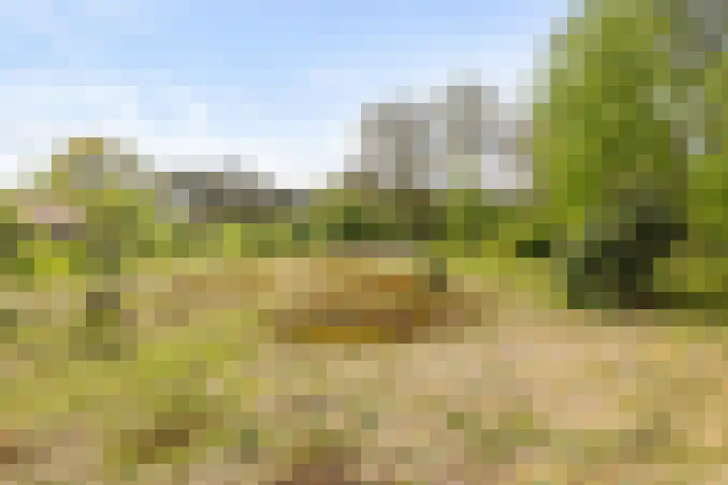 Brakkensedijk 17 Vorstenbosch thumbnail 75