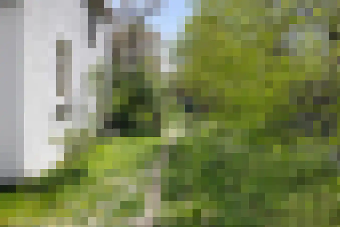 Brakkensedijk 17 Vorstenbosch thumbnail 77
