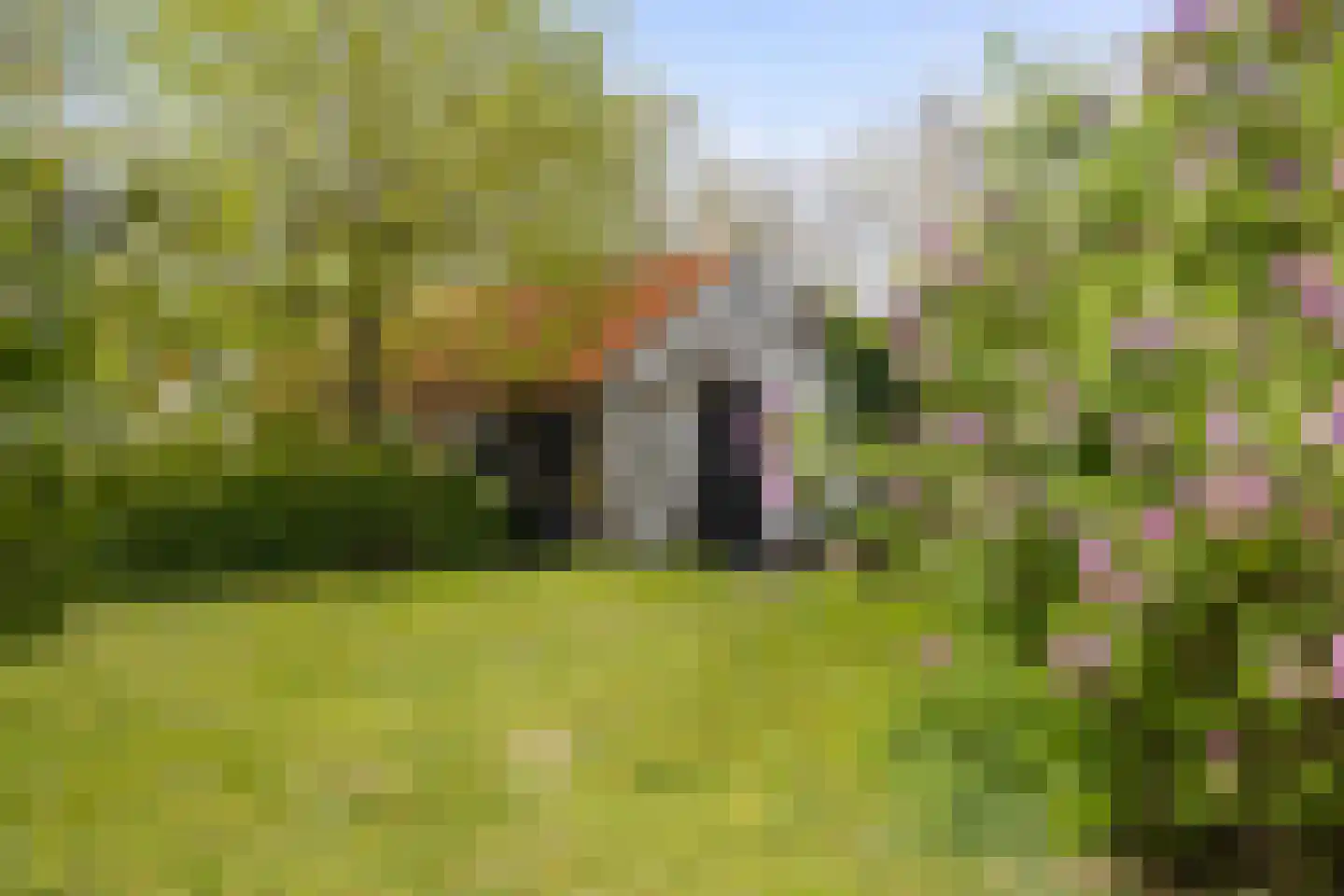 Brakkensedijk 17 Vorstenbosch thumbnail 78