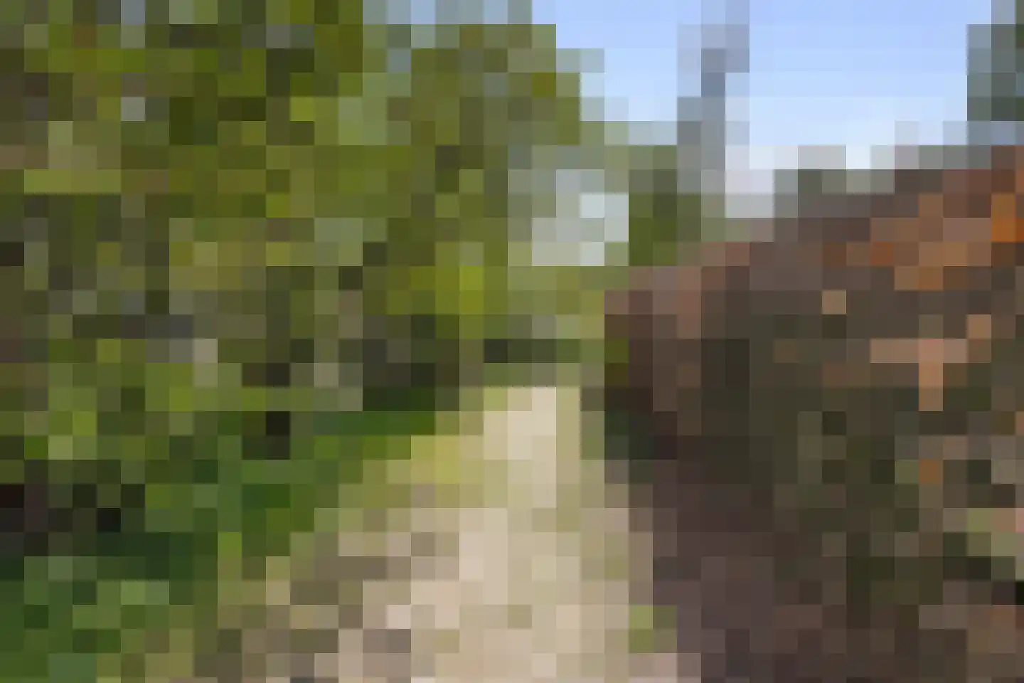 Brakkensedijk 17 Vorstenbosch thumbnail 79