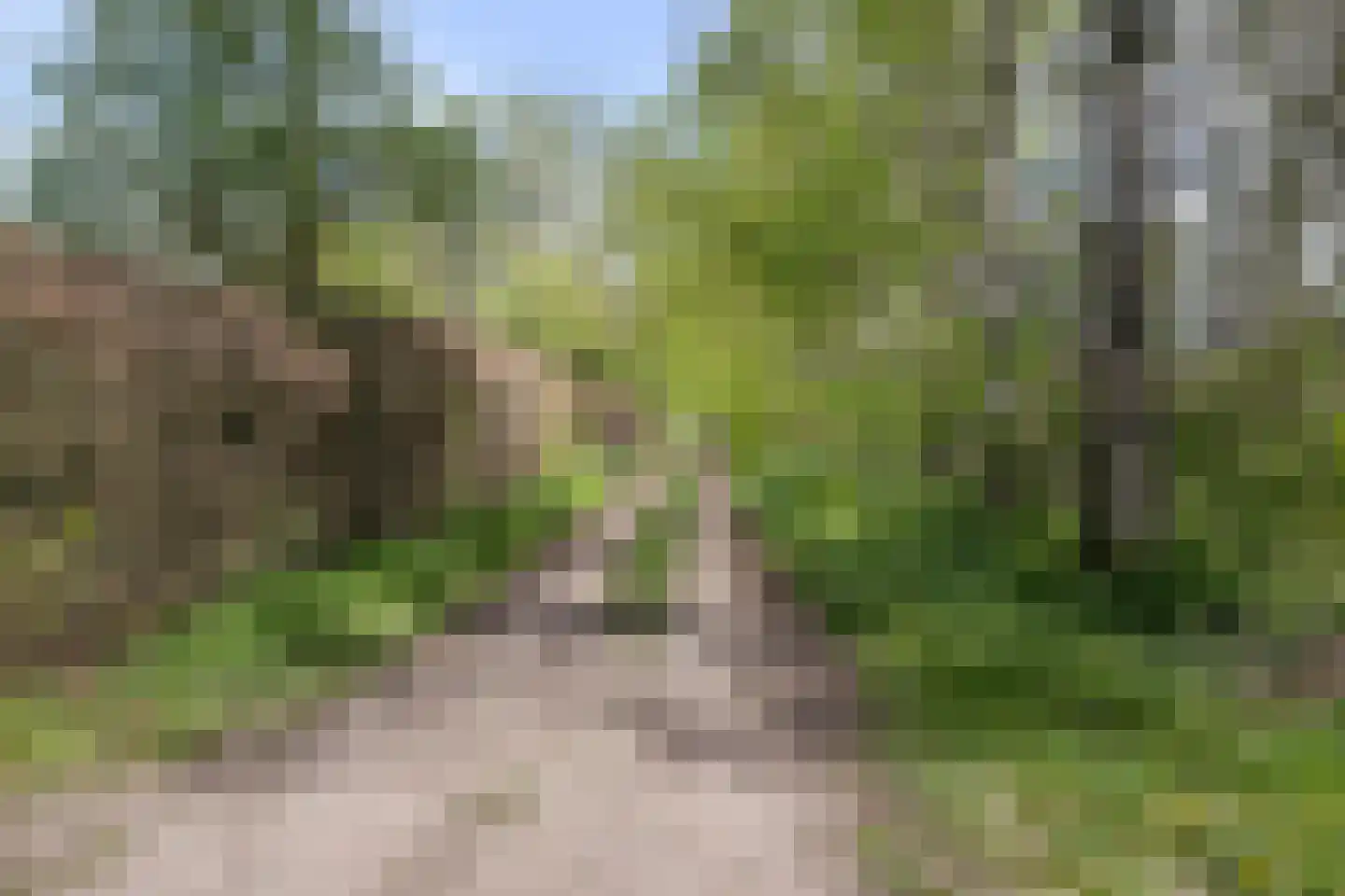 Brakkensedijk 17 Vorstenbosch thumbnail 81