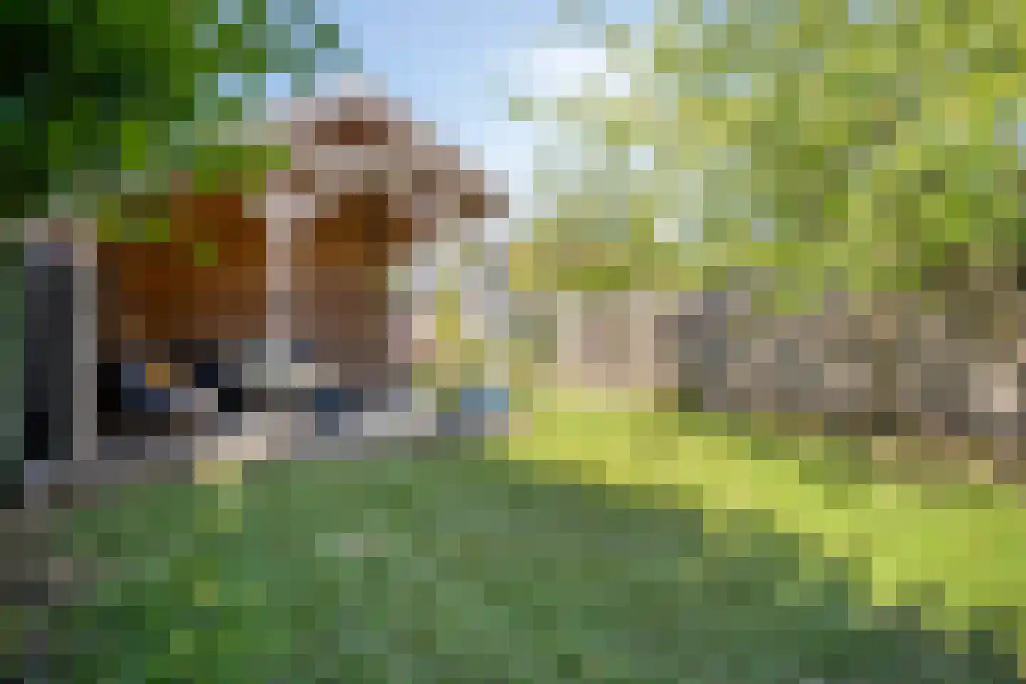 Brakkensteinweg 36 Nijmegen thumbnail 35