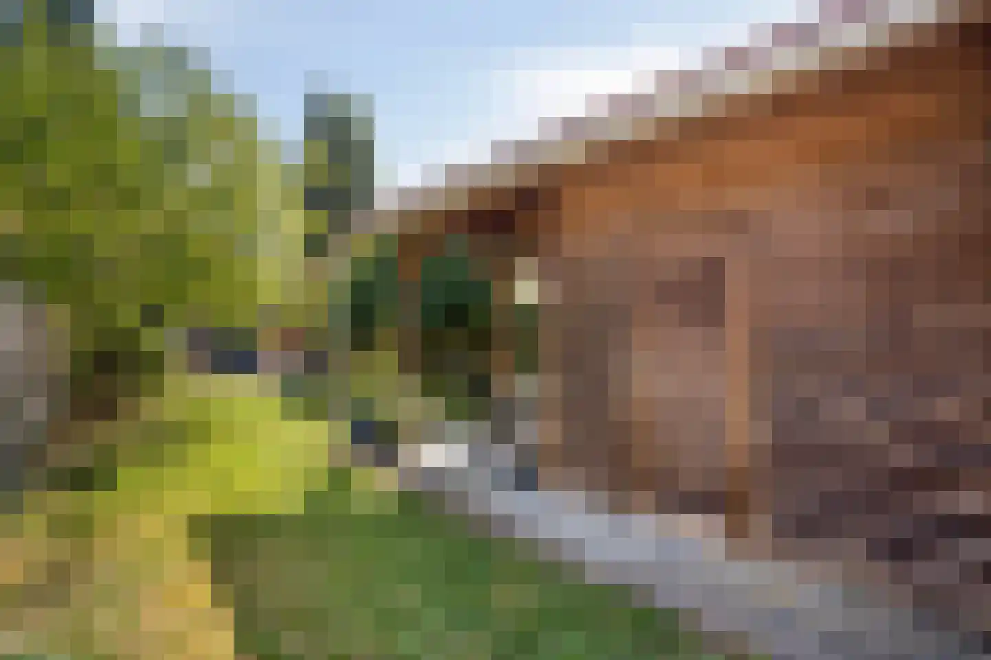 Brakkensteinweg 36 Nijmegen thumbnail 37