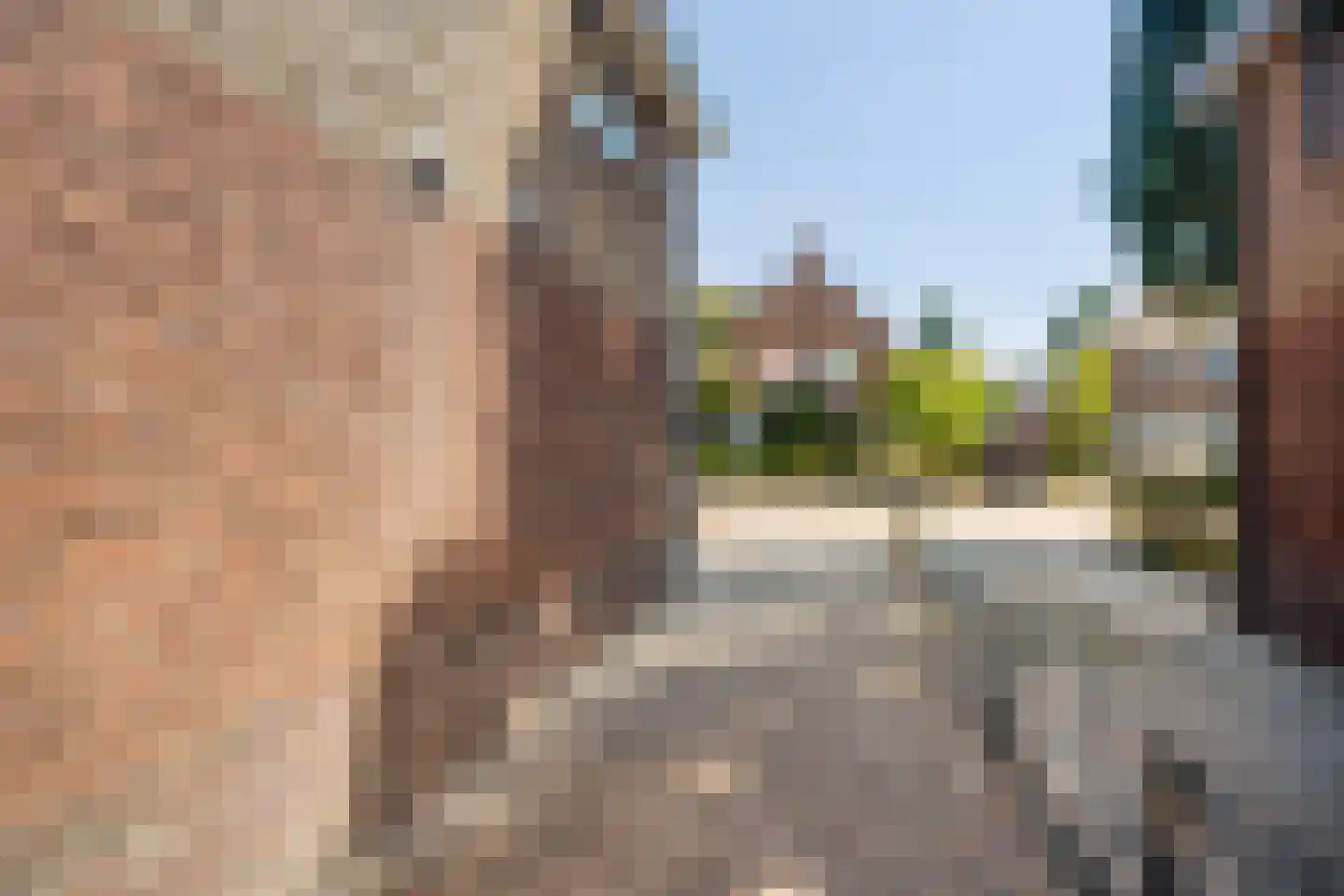 Brakkensteinweg 36 Nijmegen thumbnail 39