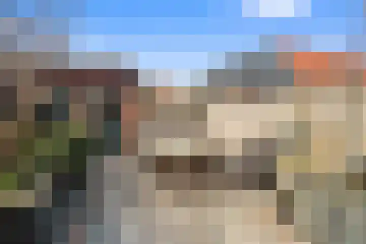 Brakkeveldweg 122 Den Helder thumbnail 32