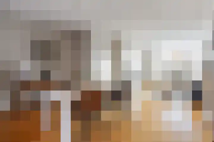 Brakkeveldweg 128 Den Helder thumbnail 5
