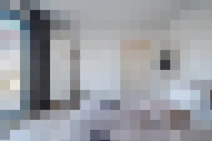 Brakkeveldweg 164 Den Helder thumbnail 32