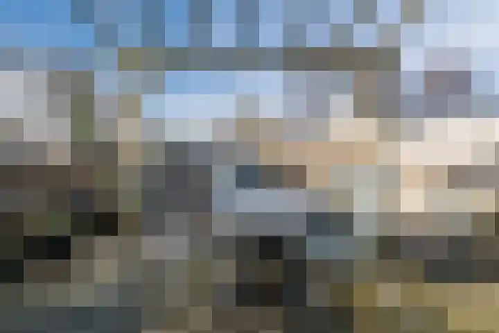 Brakkeveldweg 164 Den Helder thumbnail 37