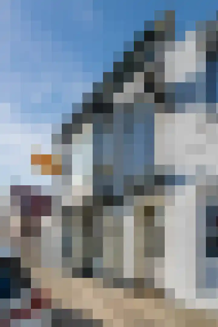Brakkeveldweg 164 Den Helder thumbnail 5