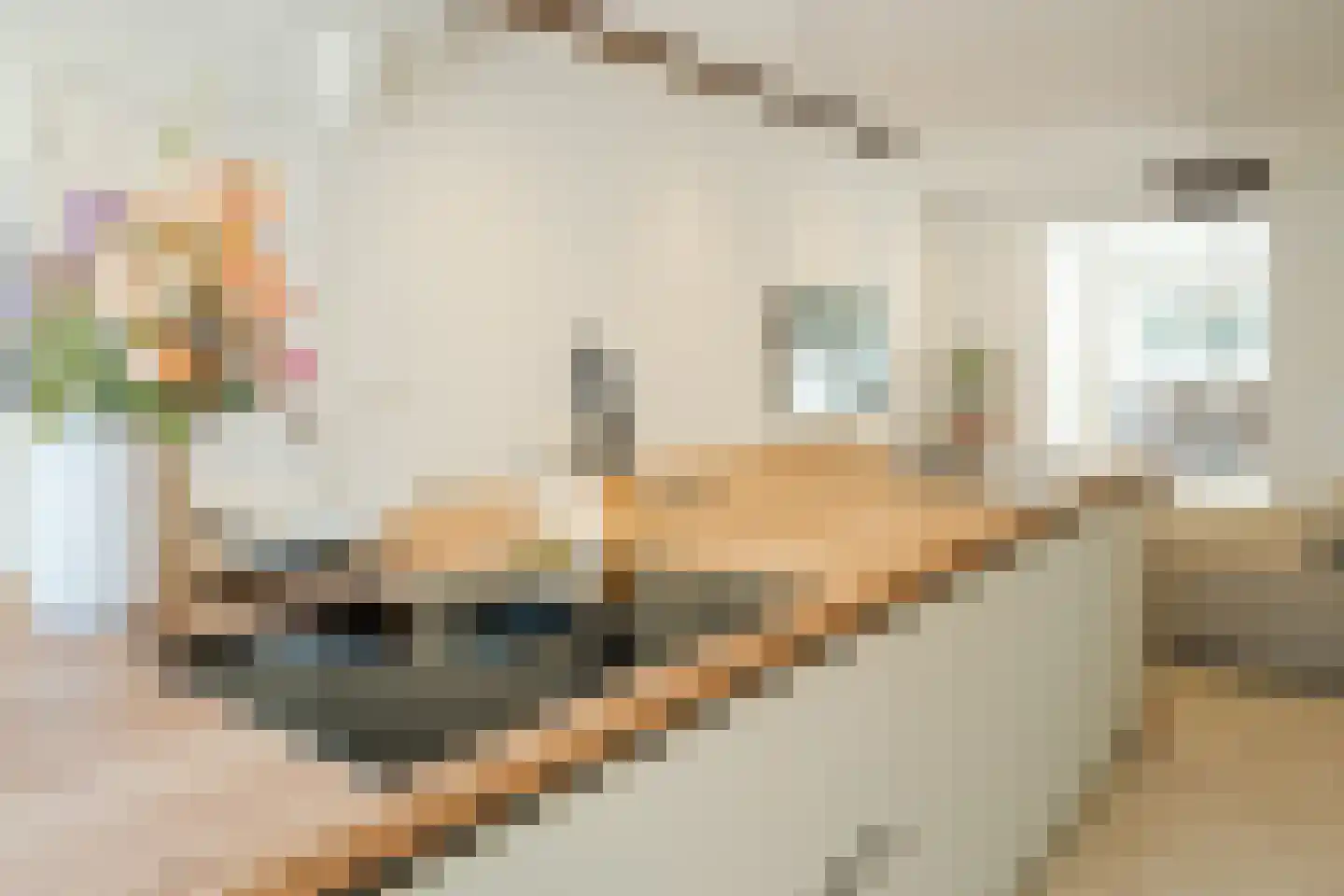Brakkeveldweg 166 Den Helder thumbnail 31
