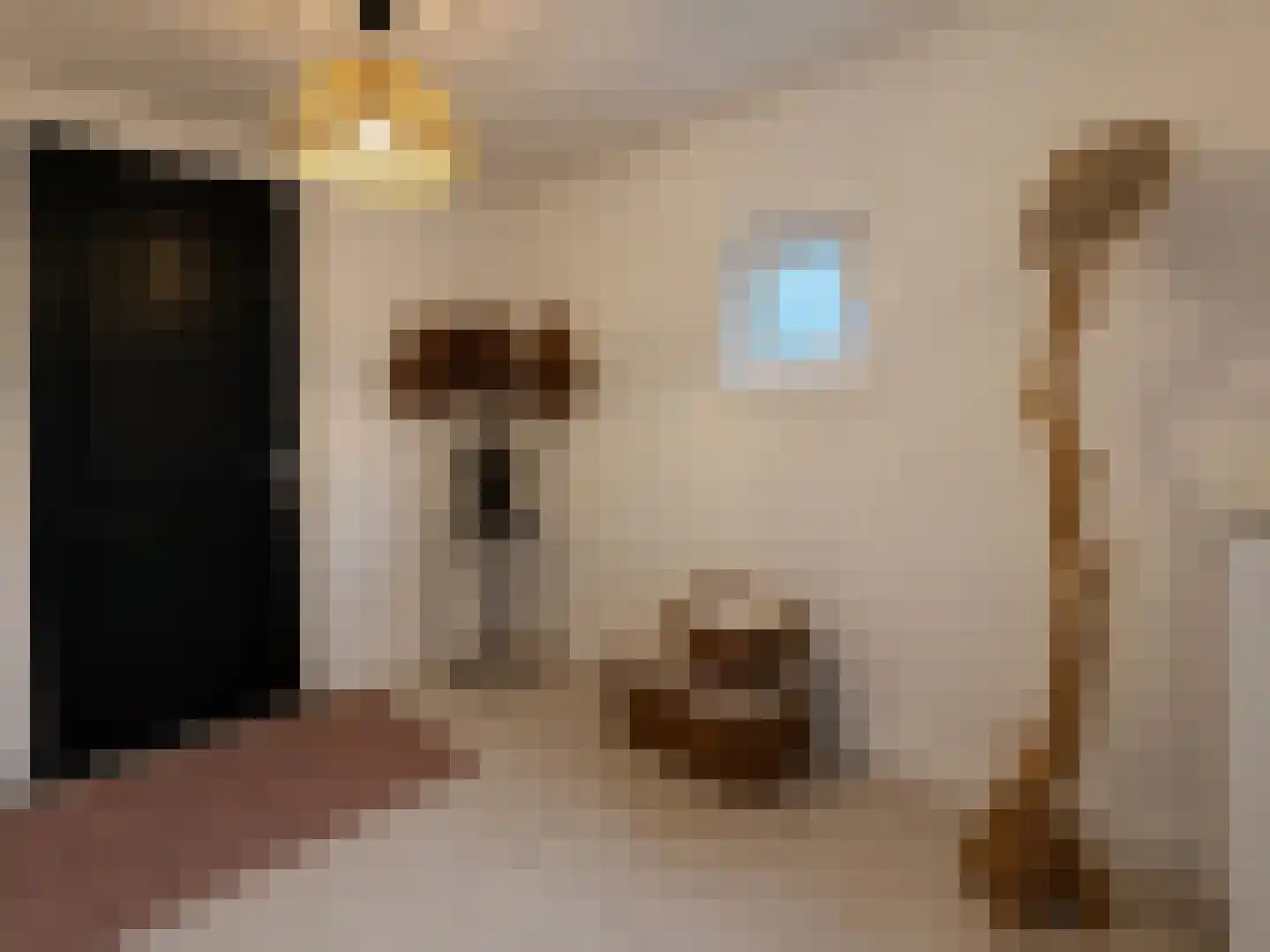 Brakkeveldweg 166 Den Helder thumbnail 39