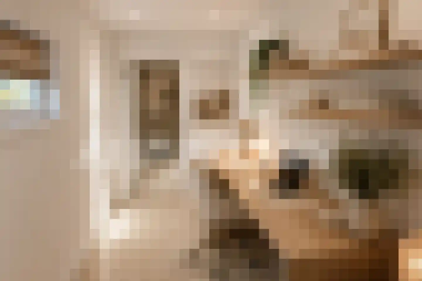Brakkeveldweg 166 Den Helder thumbnail 42