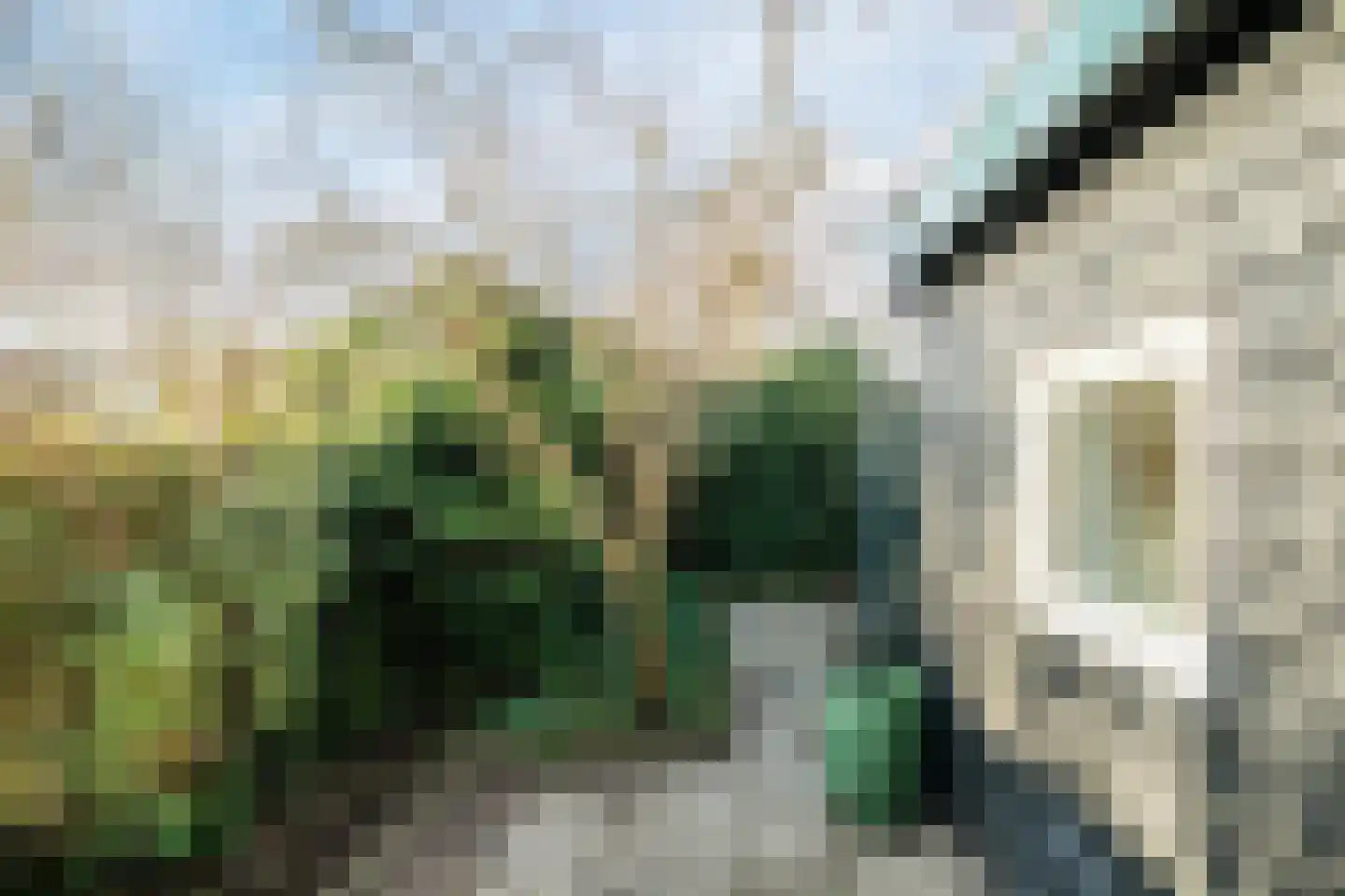 Brakkeveldweg 166 Den Helder thumbnail 50
