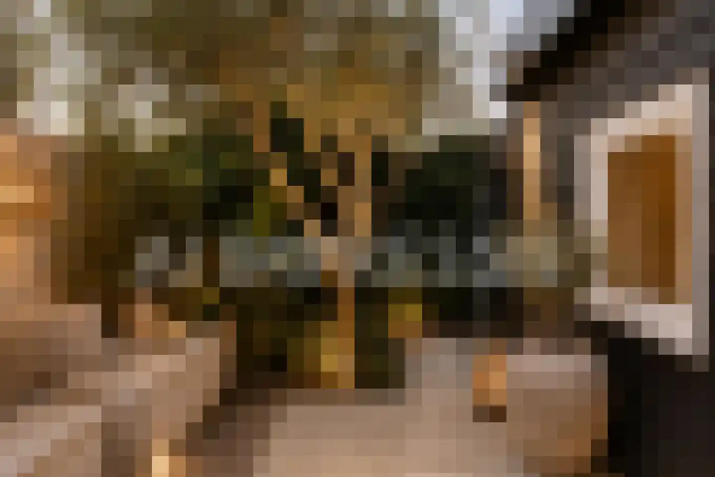 Brakkeveldweg 166 Den Helder thumbnail 51