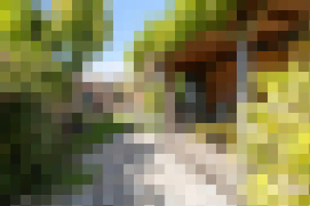 Brakkeveldweg 30 Den Helder thumbnail 15
