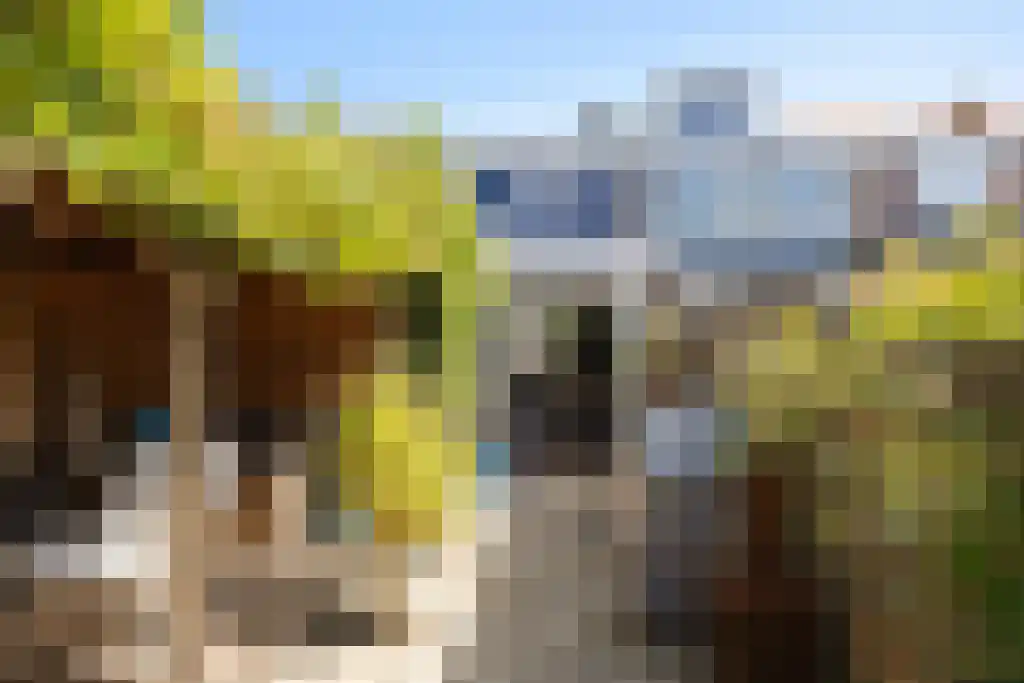 Brakkeveldweg 30 Den Helder thumbnail 16
