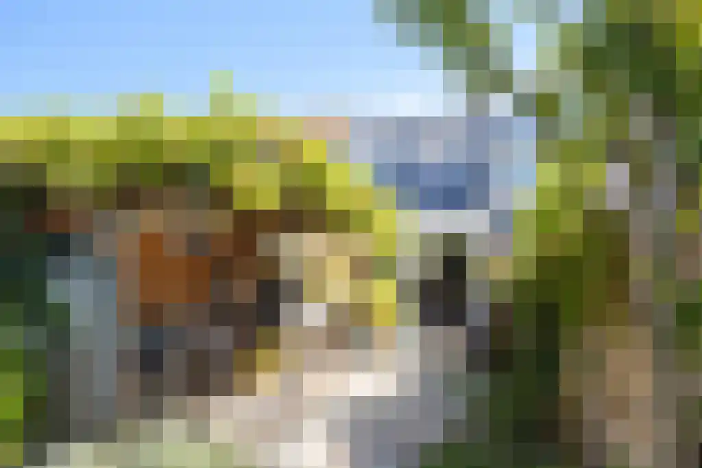 Brakkeveldweg 30 Den Helder thumbnail 18
