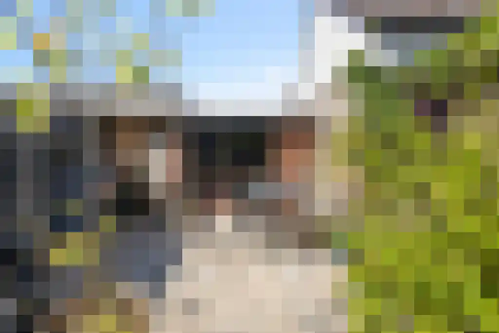 Brakkeveldweg 30 Den Helder thumbnail 19