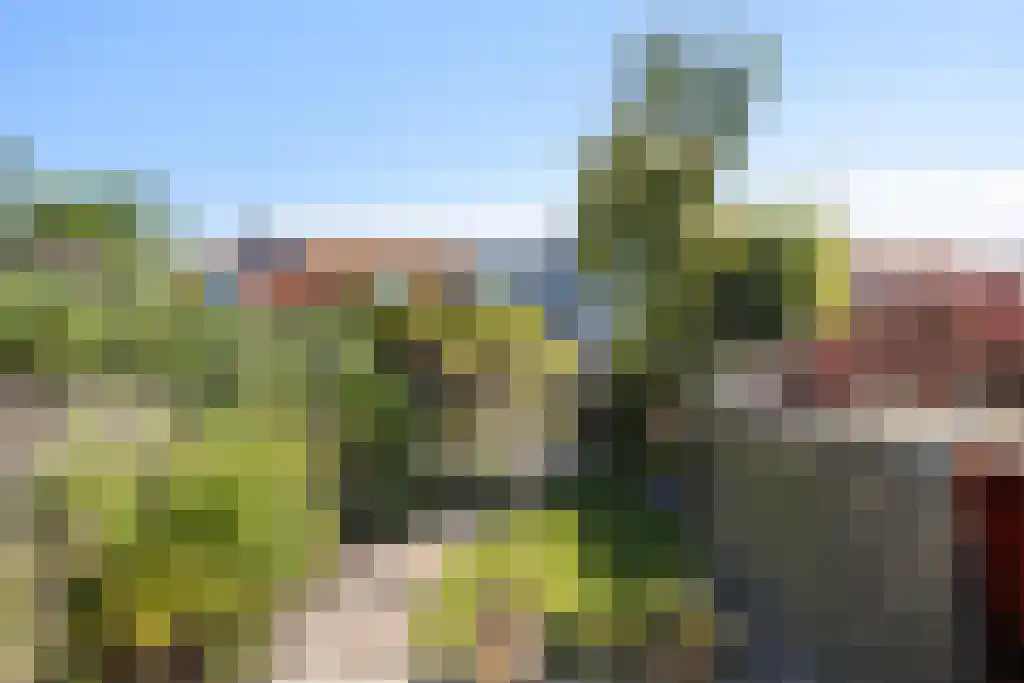 Brakkeveldweg 30 Den Helder thumbnail 20