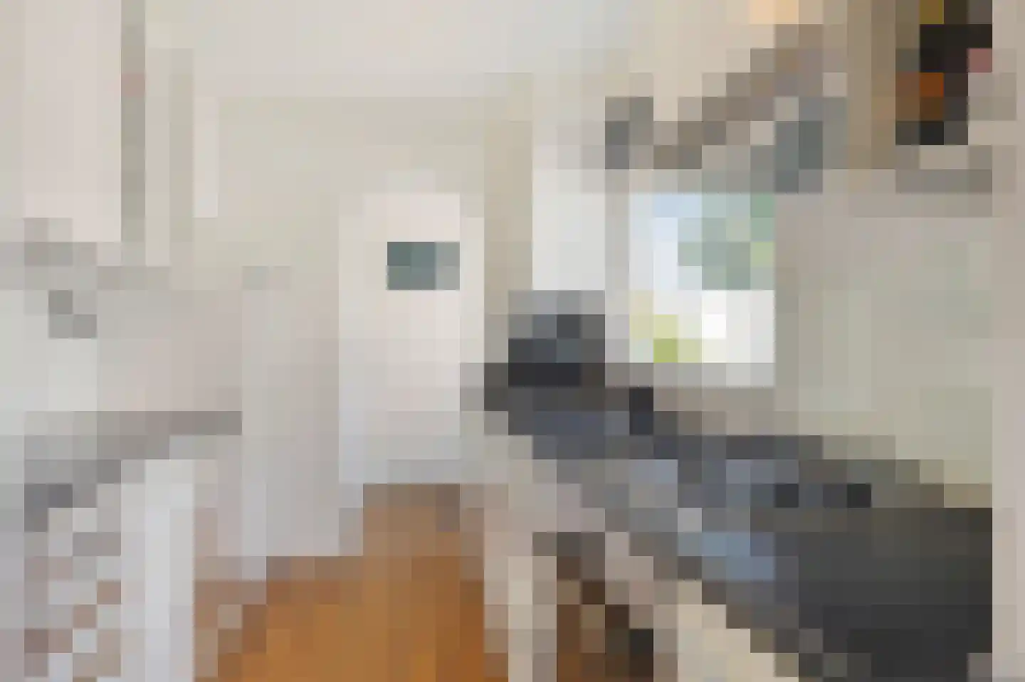 Brakkeveldweg 44 Den Helder thumbnail 11